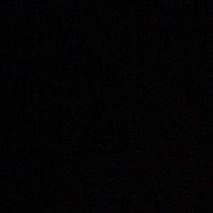 Meet your Posher, Princess